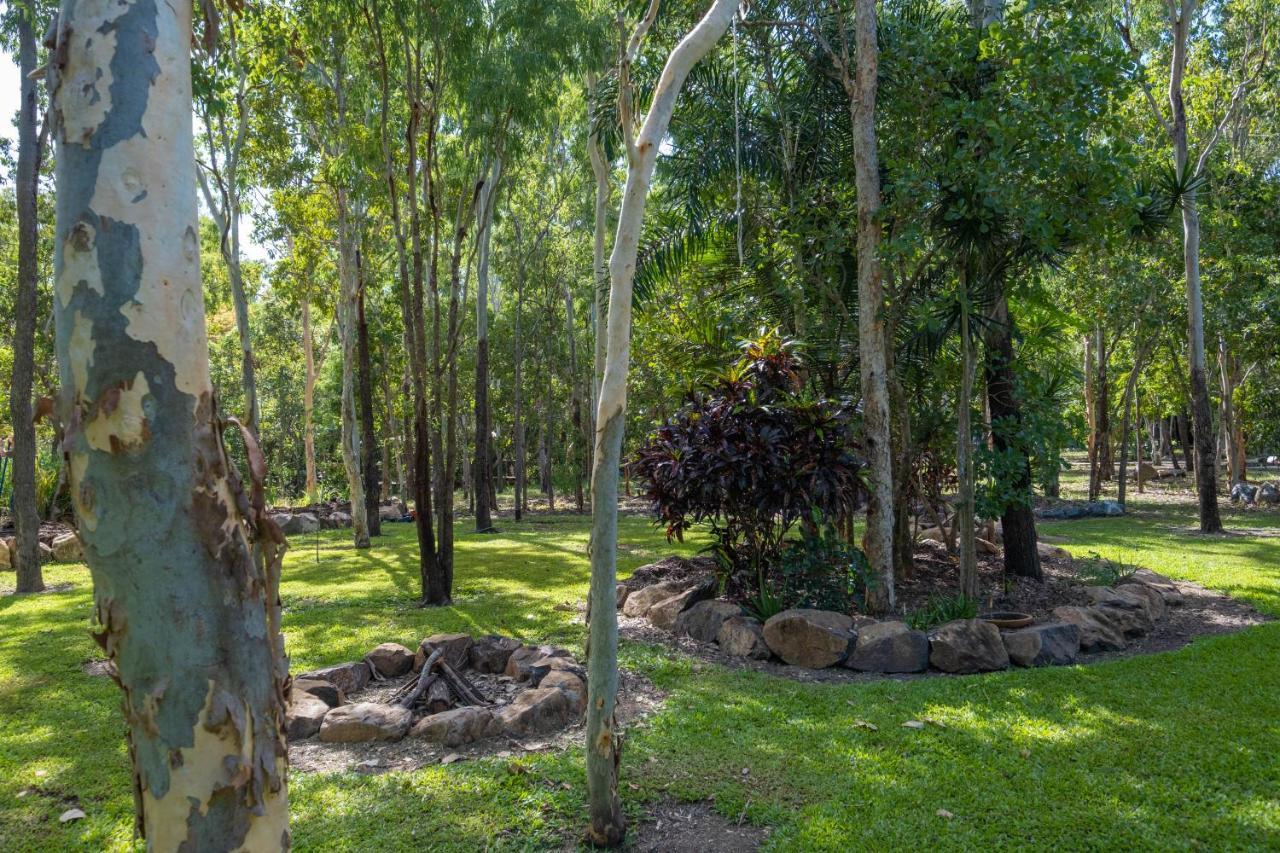 Airlie Beach Eco Cabins - Adults Only 외부 사진
