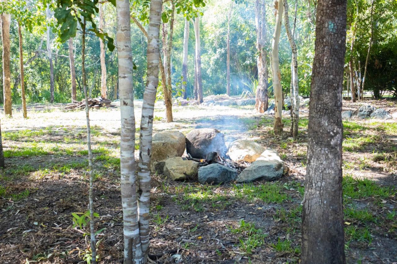 Airlie Beach Eco Cabins - Adults Only 외부 사진
