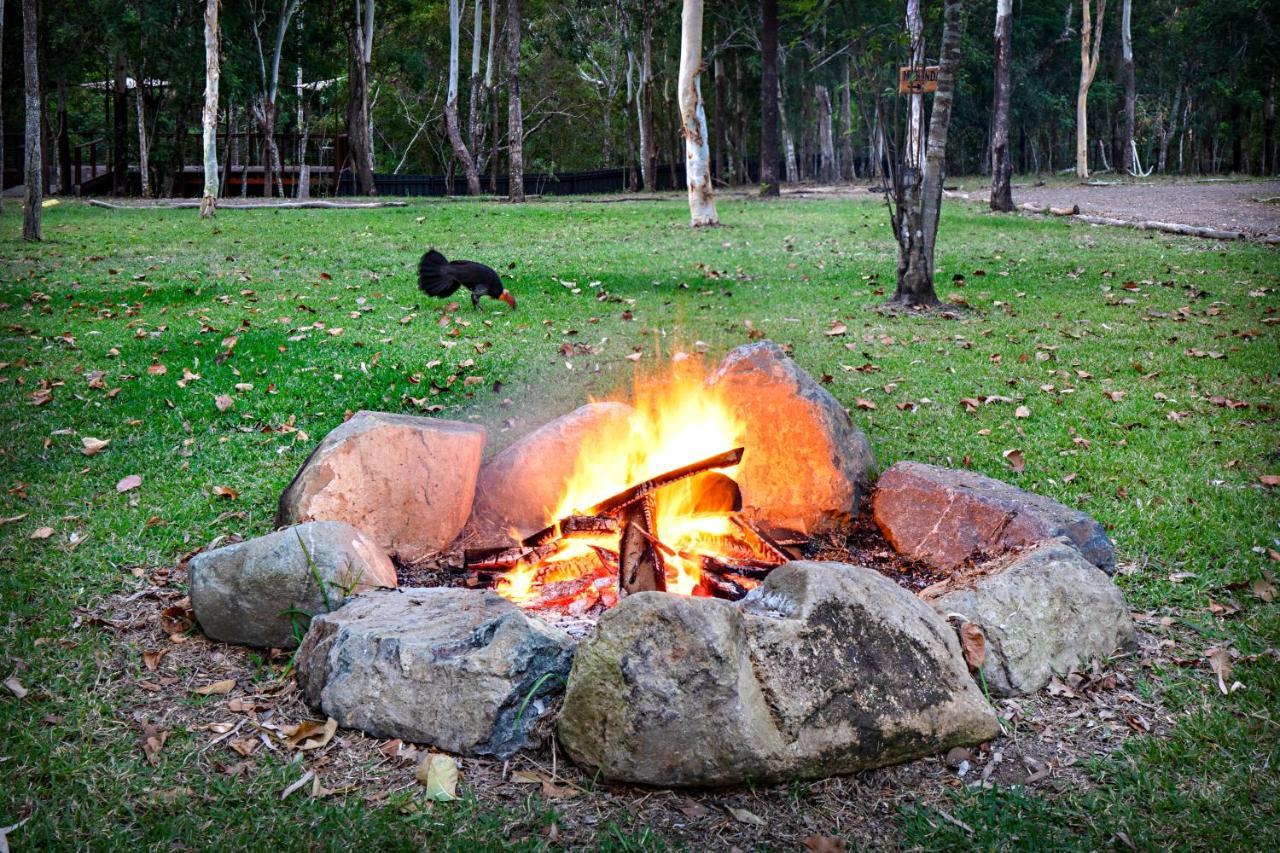 Airlie Beach Eco Cabins - Adults Only 외부 사진