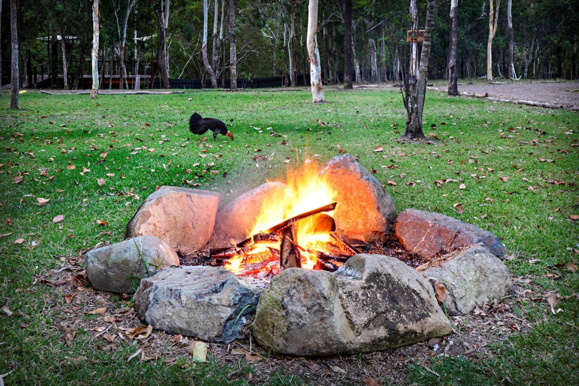 Airlie Beach Eco Cabins - Adults Only 외부 사진